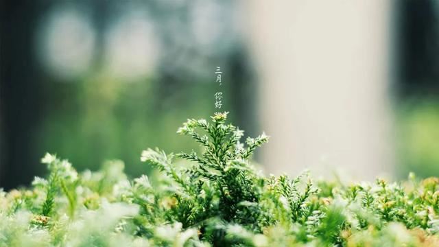 3月第一天朋友圈说说，3月你好早安文案！