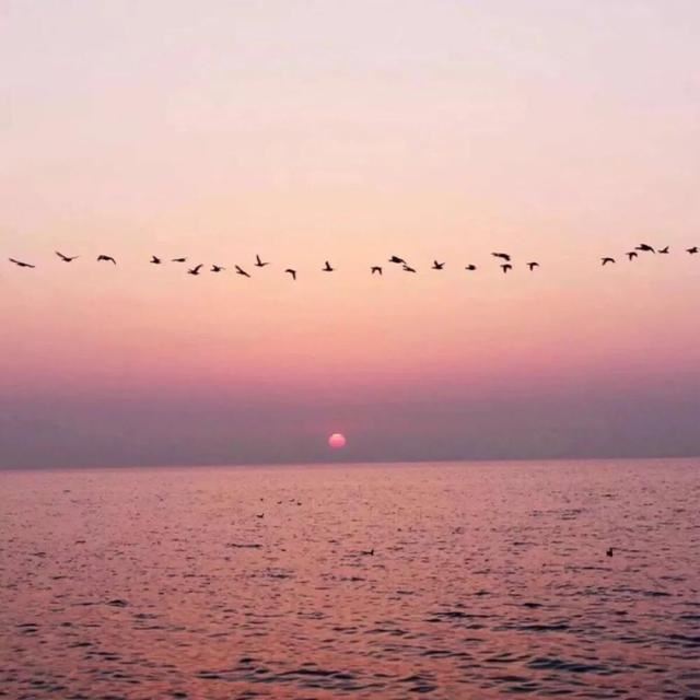 2021新年励志正能量的句子！