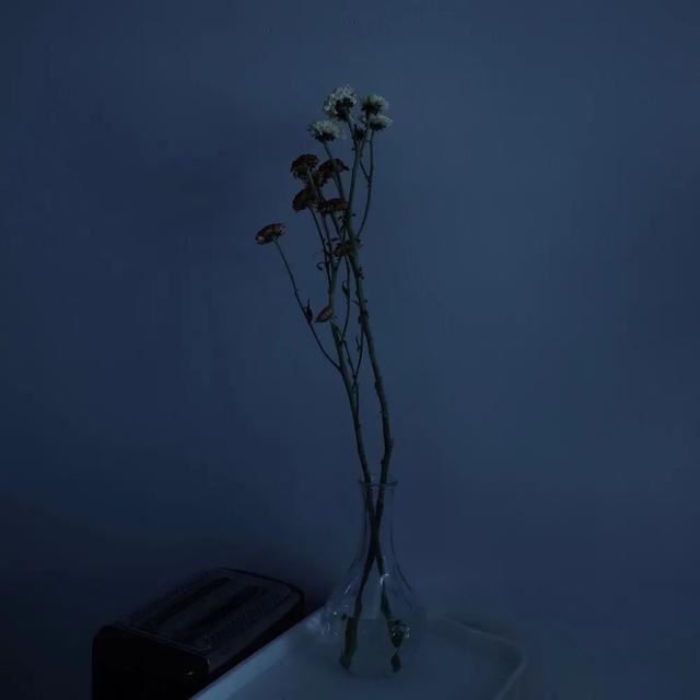 2021新年励志正能量的句子！