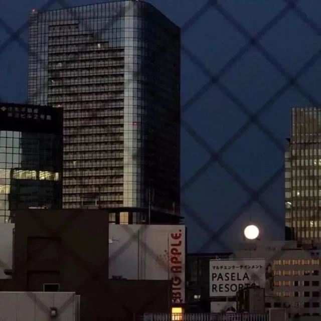 新年里最酷的一句话，朋友圈精挑细选的个性说说！