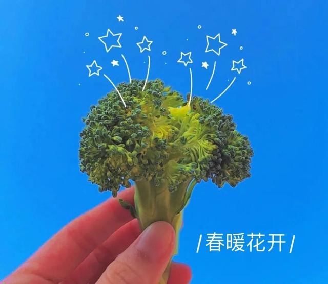 要红包搞笑文案！