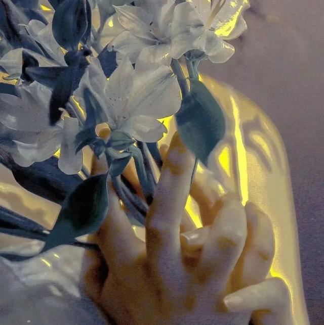 20字以内写一个虐到哭的文案！