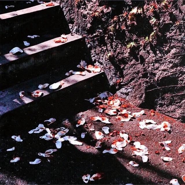 20字以内写一个虐到哭的文案！