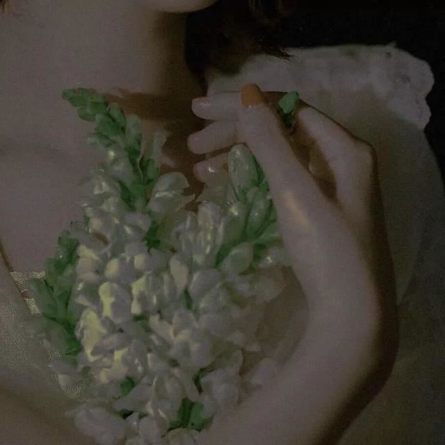 适合悄悄的表达暗恋的温柔文案！