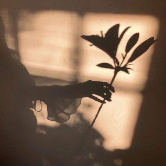 瞬间让你访客暴增的句子和图片！