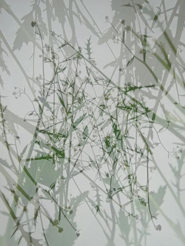 适合2月微信置顶的文案！