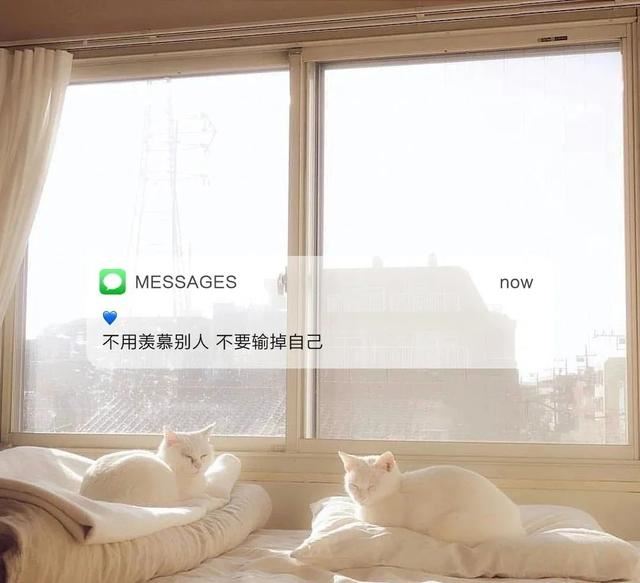 适合2月1日发的朋友圈！