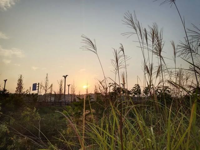 超甜的晚安文案，快码起来吧！