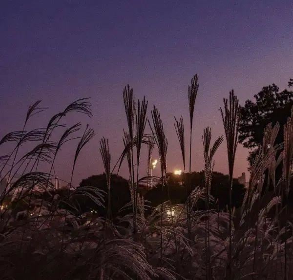 一句话证明你不开心，心里难过好想哭的句子！