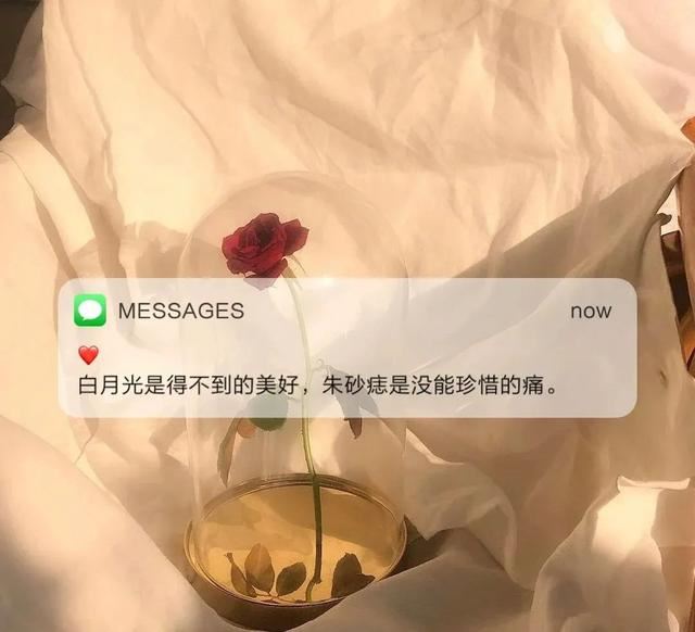 抖音很火的白月光与朱砂痣文案！