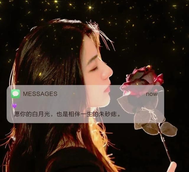 抖音很火的白月光与朱砂痣文案！