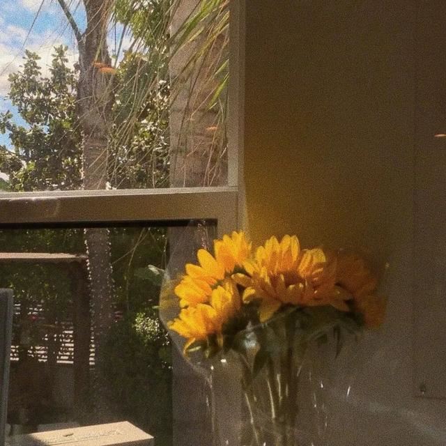 成年人心累的简短文案！