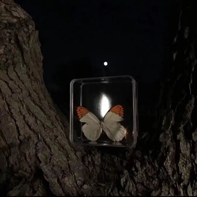 成年人心累的简短文案！