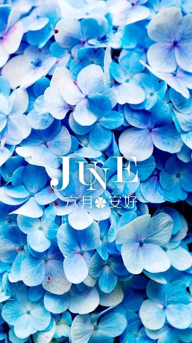 5月再见6月你好，六月祝福语一句话！