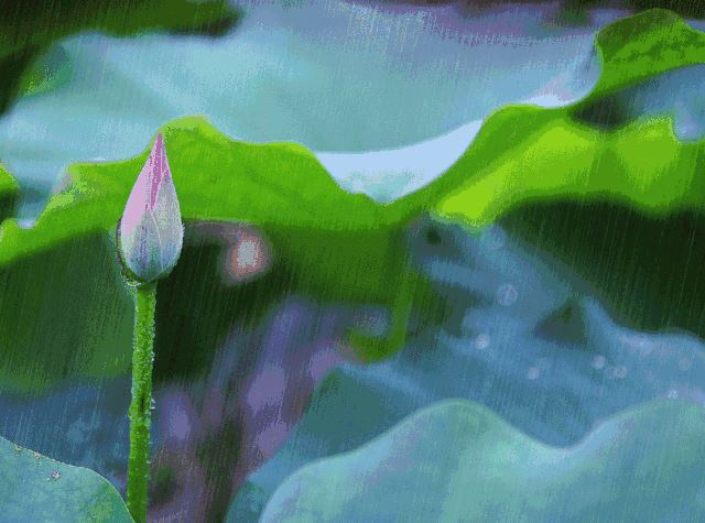 2020雨水节气祝福送给你！