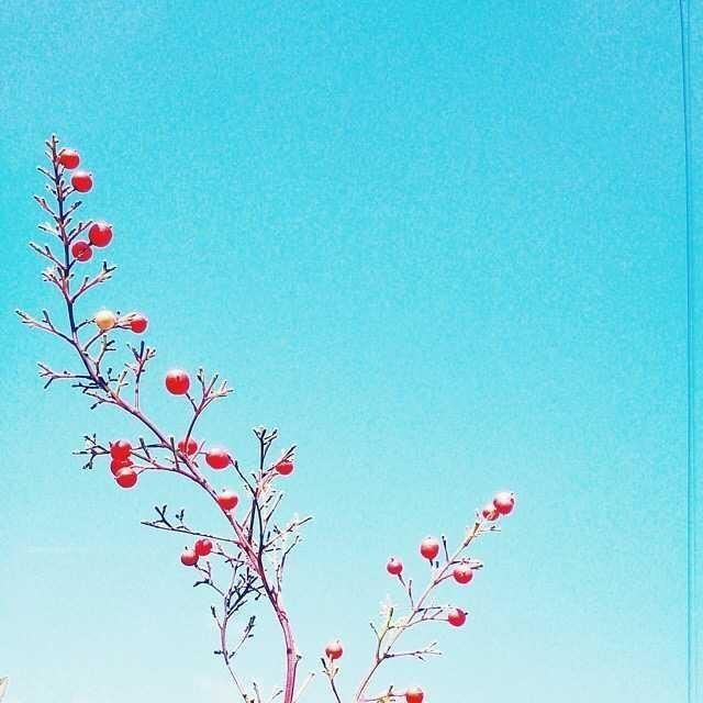 临睡前说晚安的唯美句子，发朋友圈人人点赞！