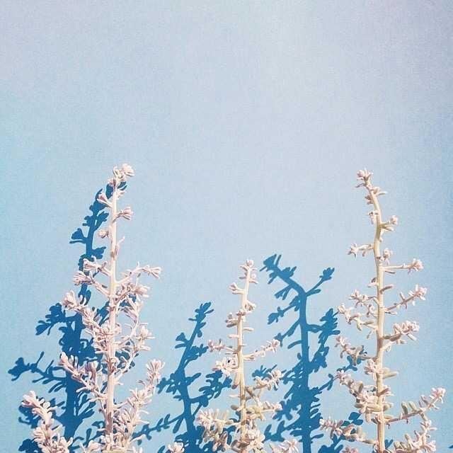 临睡前说晚安的唯美句子，发朋友圈人人点赞！