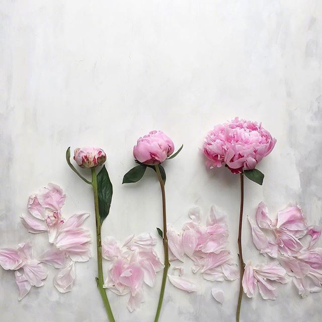 2023很有气质的晚安说说，温暖美好，沁人心脾！