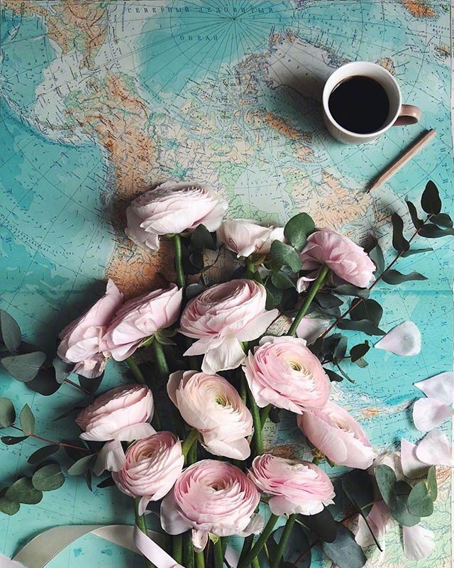 通透精湛的心灵鸡汤，字字千金，富含哲理！