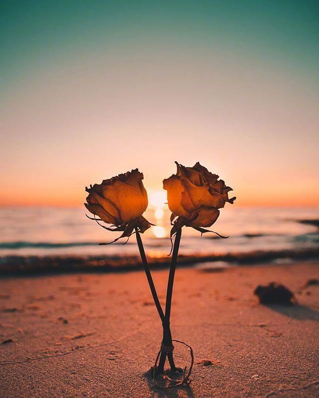 四月很流行的人生格言，字字千金，富含哲理！