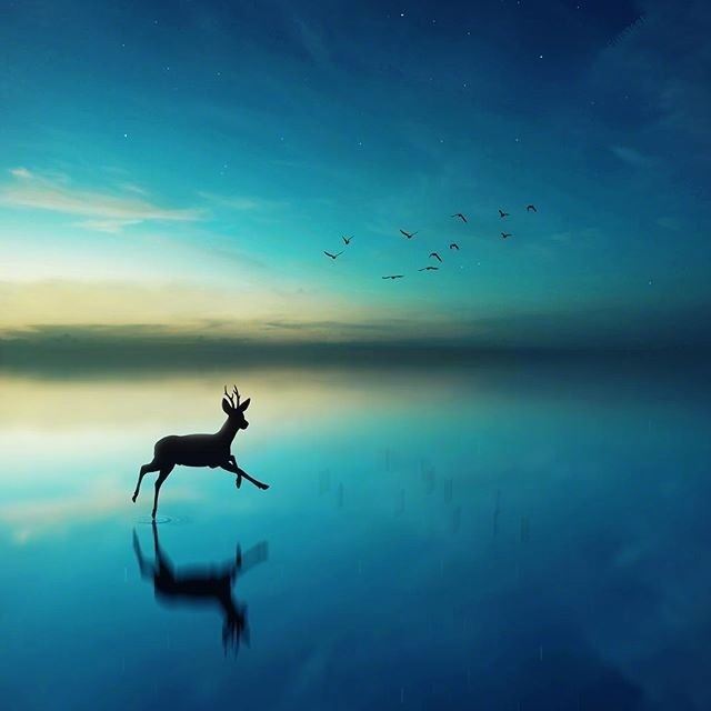 看淡一切善待自己的哲理说说，句句经典，发人深省！