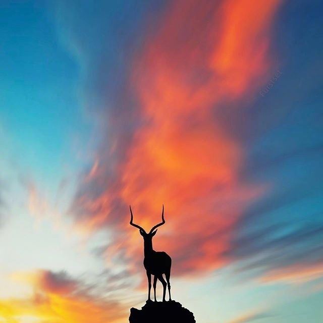 看淡一切善待自己的哲理说说，句句经典，发人深省！