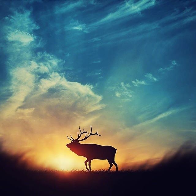 看淡一切善待自己的哲理说说，句句经典，发人深省！