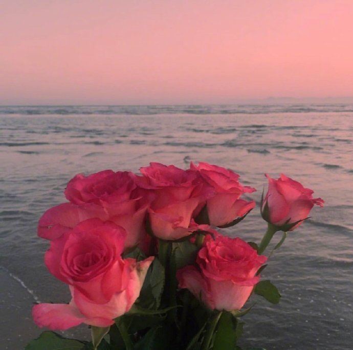 2023最有气质的人生格言，字字千金，富含哲理！