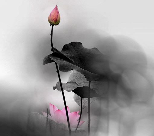 很有内涵的人生哲理语录，看完让人醍醐灌顶！