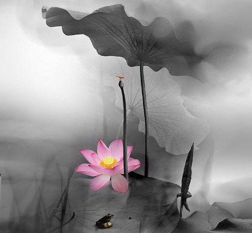 很有内涵的人生哲理语录，看完让人醍醐灌顶！