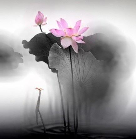 很有内涵的人生哲理语录，看完让人醍醐灌顶！