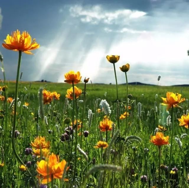 高境界的人生哲理说说，每日一读，豁达一生！