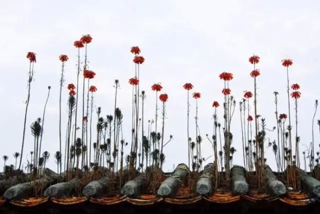 高境界的人生哲理说说，每日一读，豁达一生！