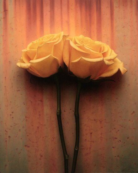 感悟最深的人生哲理说说，看完让人醍醐灌顶！