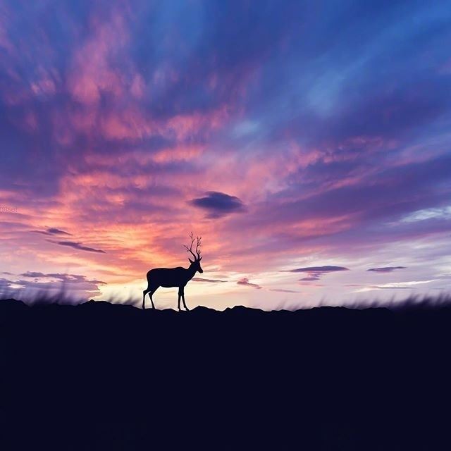 读一遍受益终生的人生箴言，发朋友圈引人深思！