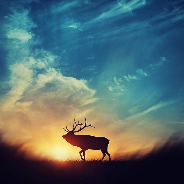 读一遍受益终生的人生箴言,发朋友圈引人深思!