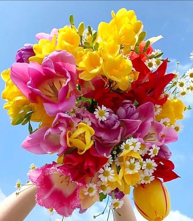 妇女节最流行的人生格言，字字千金，富含哲理！