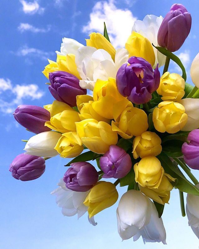 妇女节最流行的人生格言,字字千金,富含哲理!