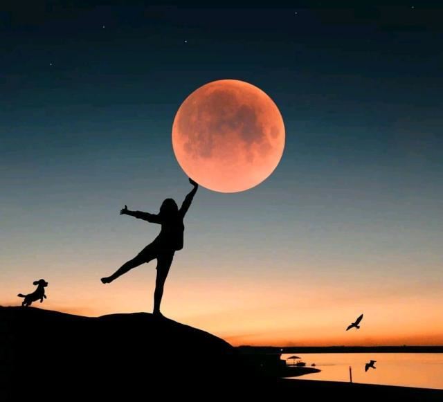 三月份很现实的人生哲理说说,句句穿透人心!