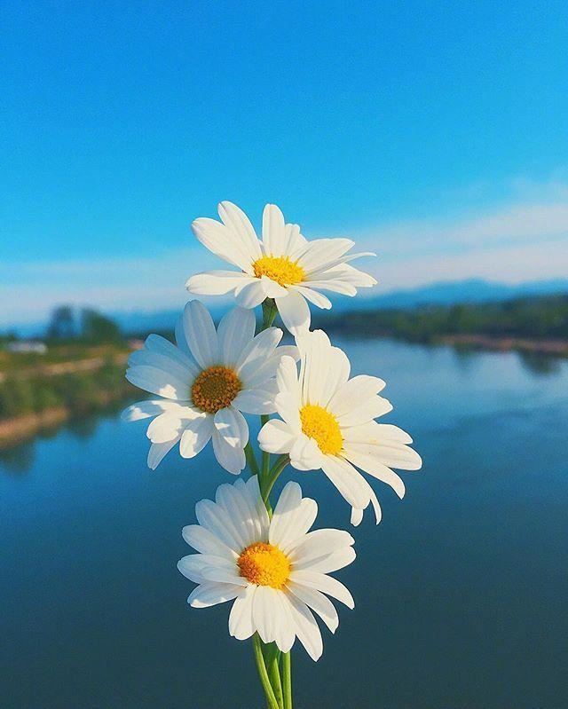 2023感悟人生的唯美句子，发朋友圈引人深思！