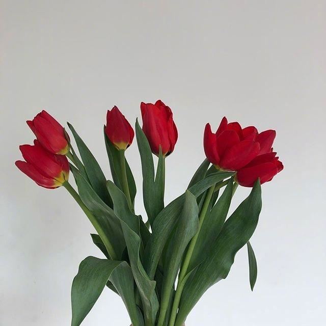 2023正月十五祝福语，简短有创意，暖人心窝！