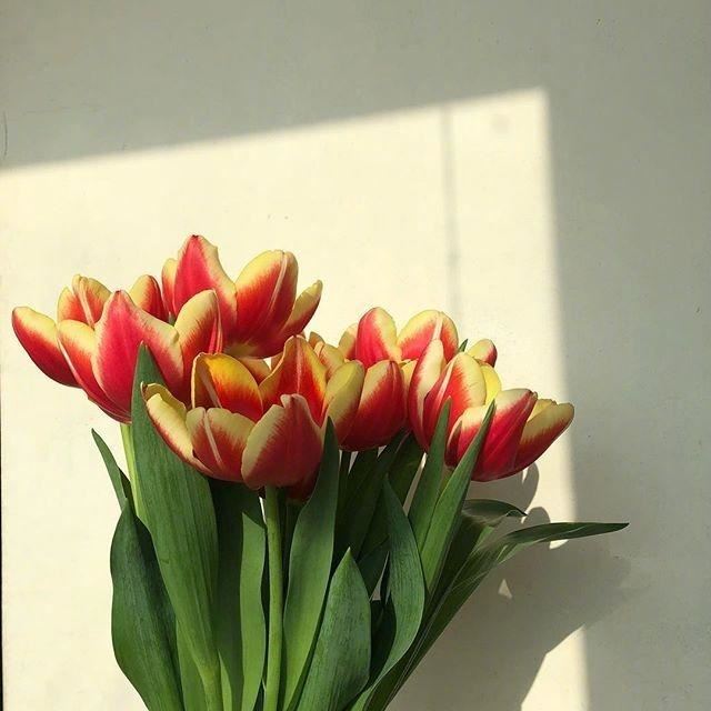 2023正月十五祝福语，简短有创意，暖人心窝！