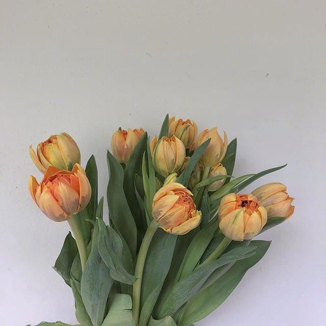 2023正月十五祝福语，简短有创意，暖人心窝！