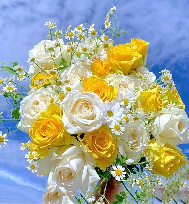 虎年元宵节祝福语，简短温暖，值得收藏！