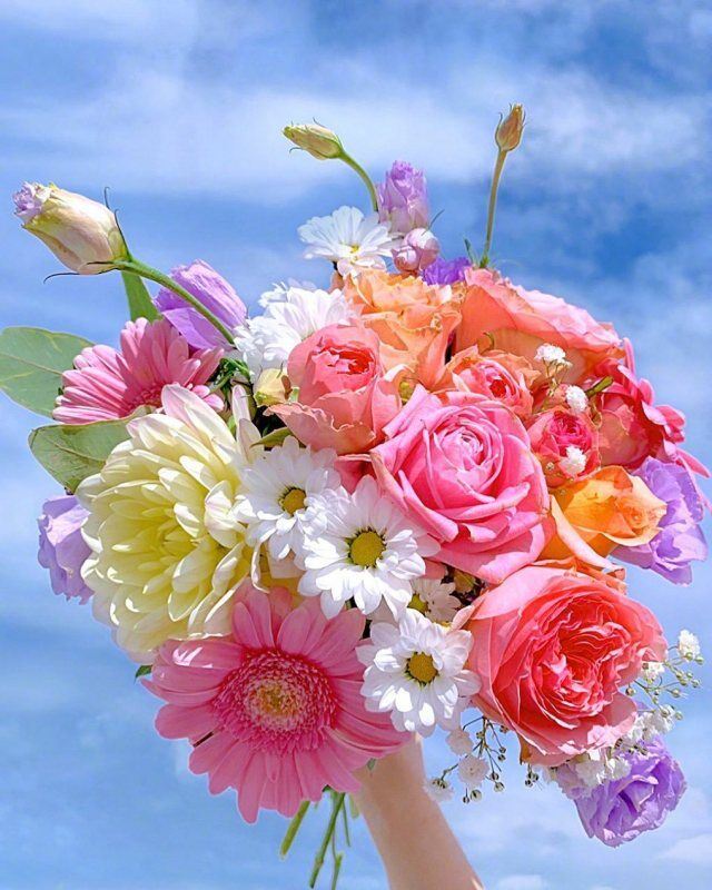 虎年元宵节祝福语，简短温暖，值得收藏！