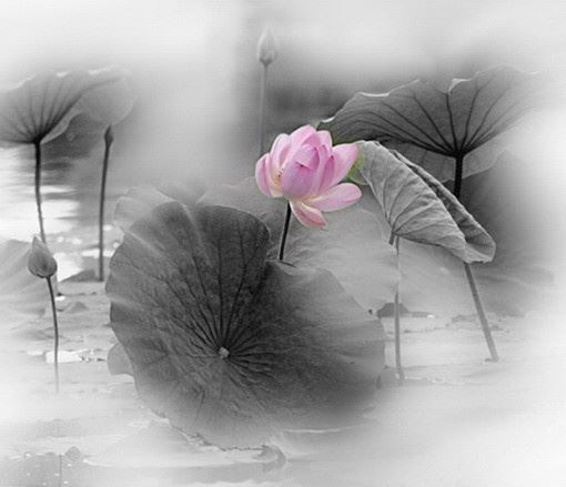 很现实的关于成长和人生的说说，句句值千金！