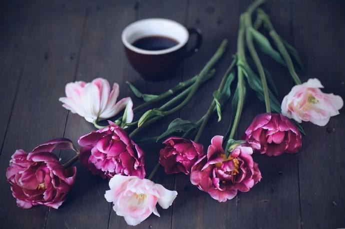 除夕夜发朋友圈的句子，恭喜发财，万事如意！