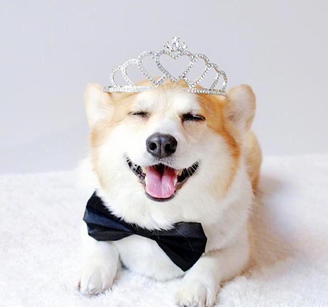 搞笑女专属文案，笑料十足，专治不开心！