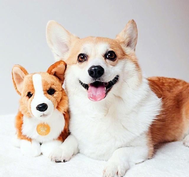 搞笑女专属文案，笑料十足，专治不开心！