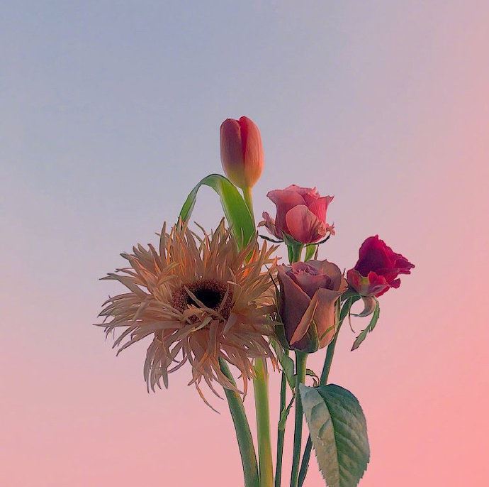 中肯实用的人生感悟，句句入骨，过目不忘！